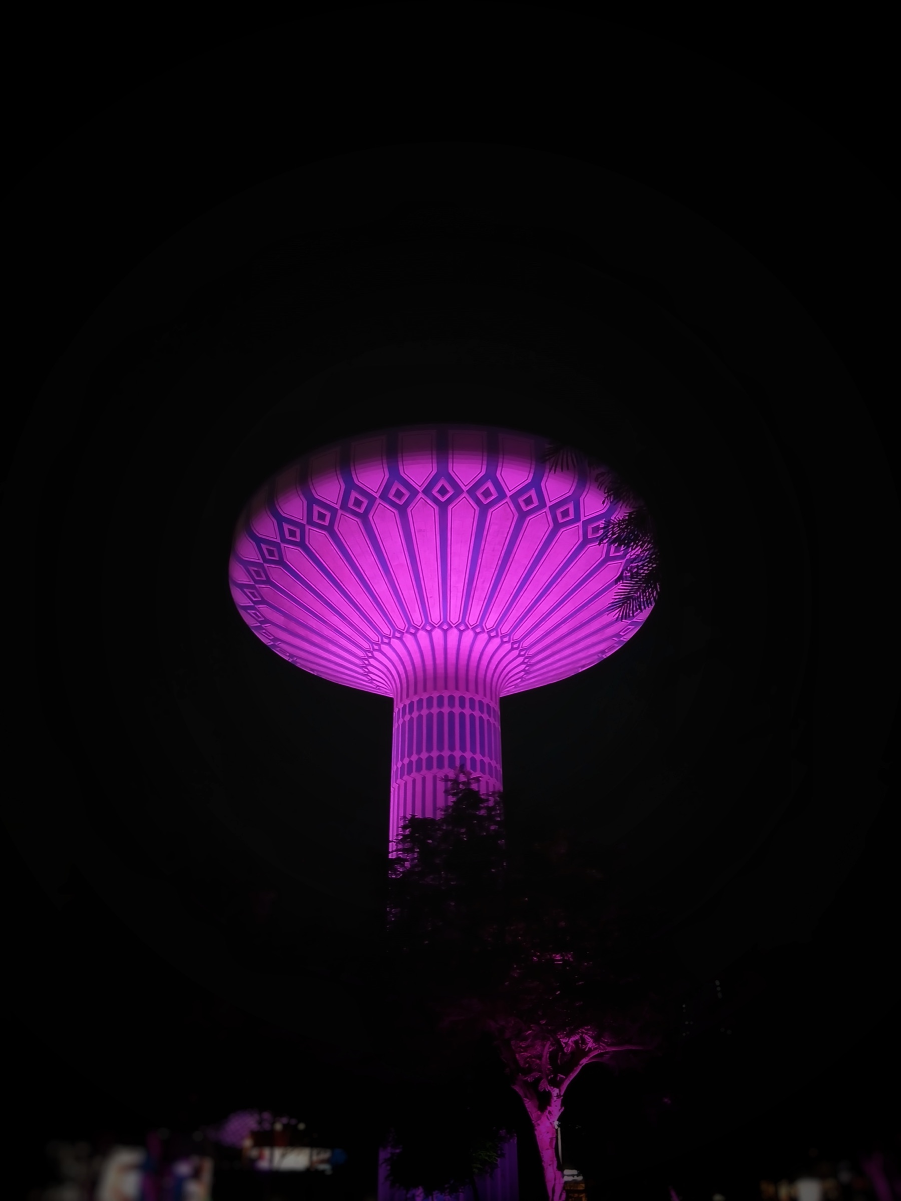 Illuminated dome structure at night, lit in purple