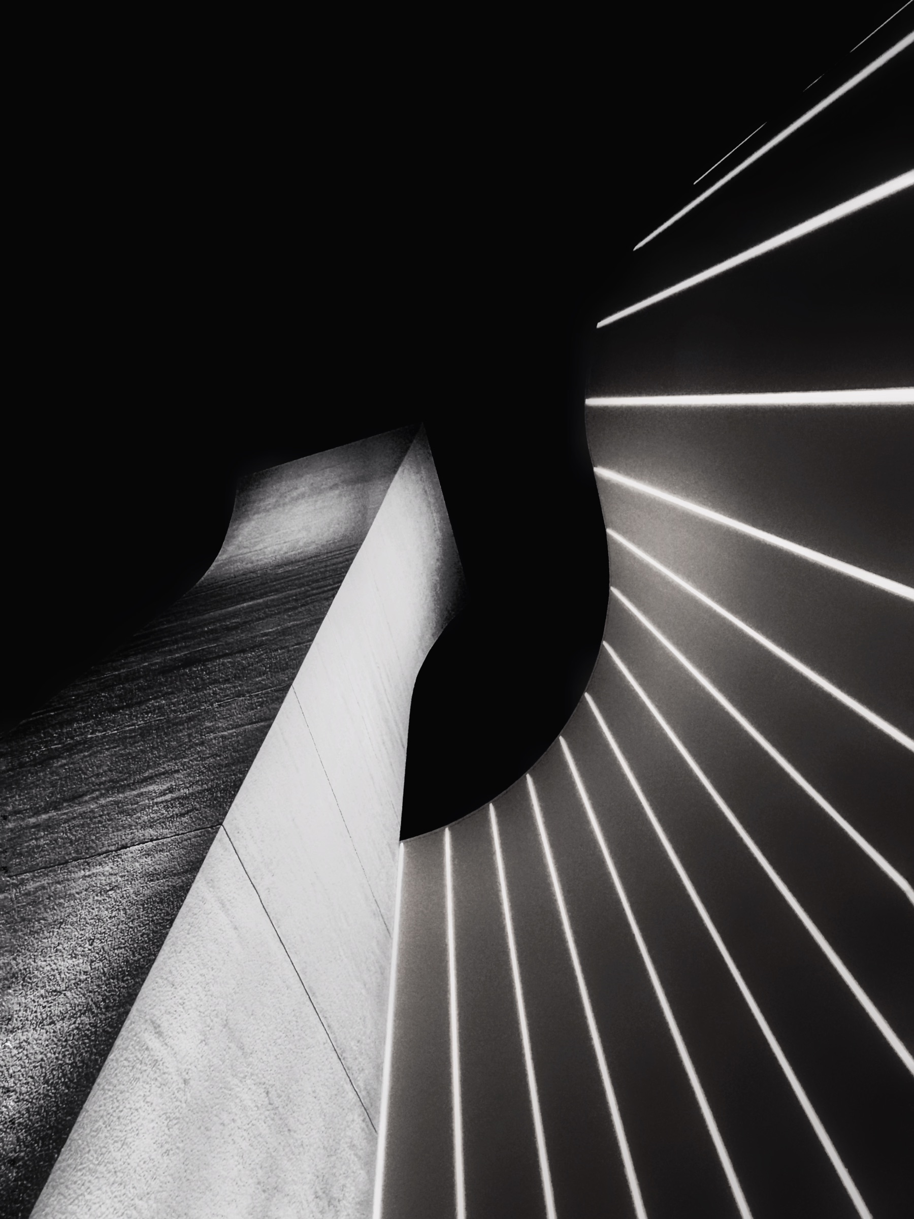 Black and white study of radiating light lines against a sculptural curved form
