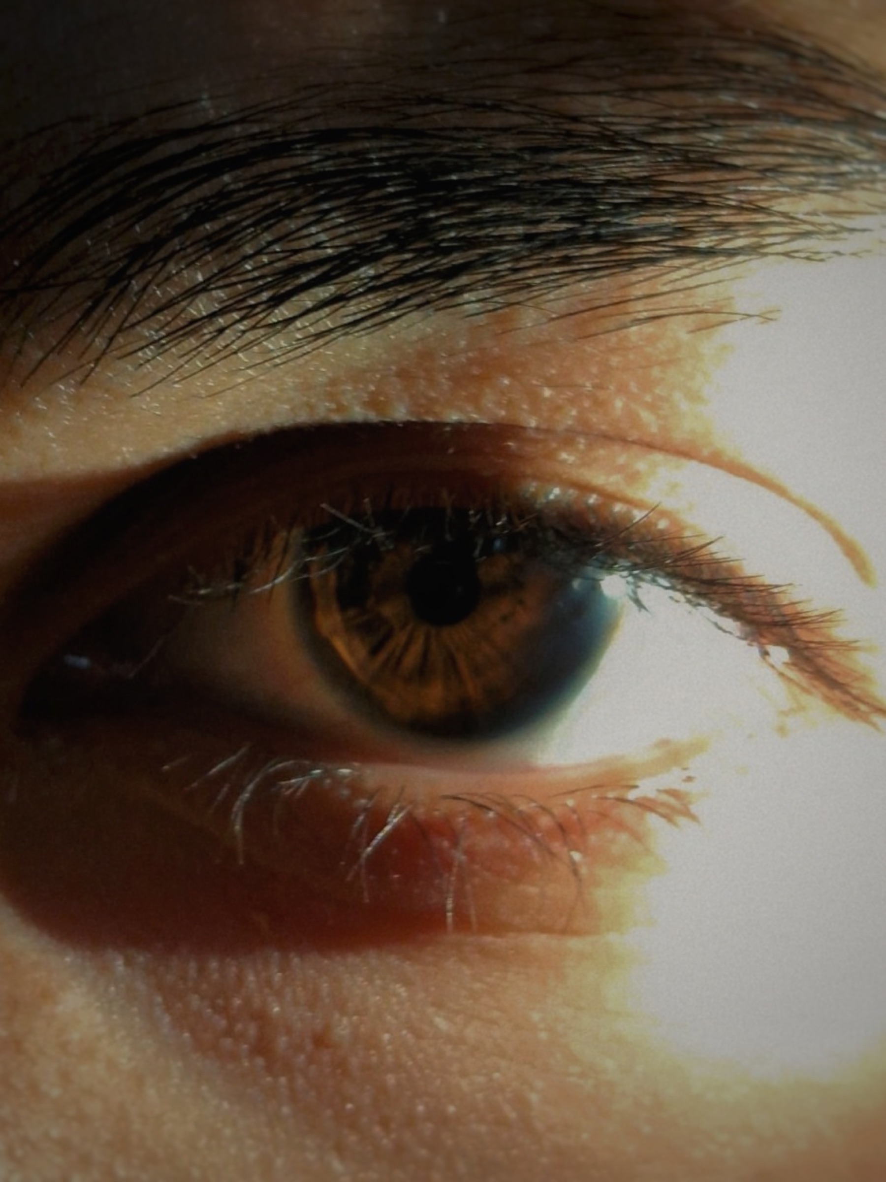 Extreme macro study of an eye