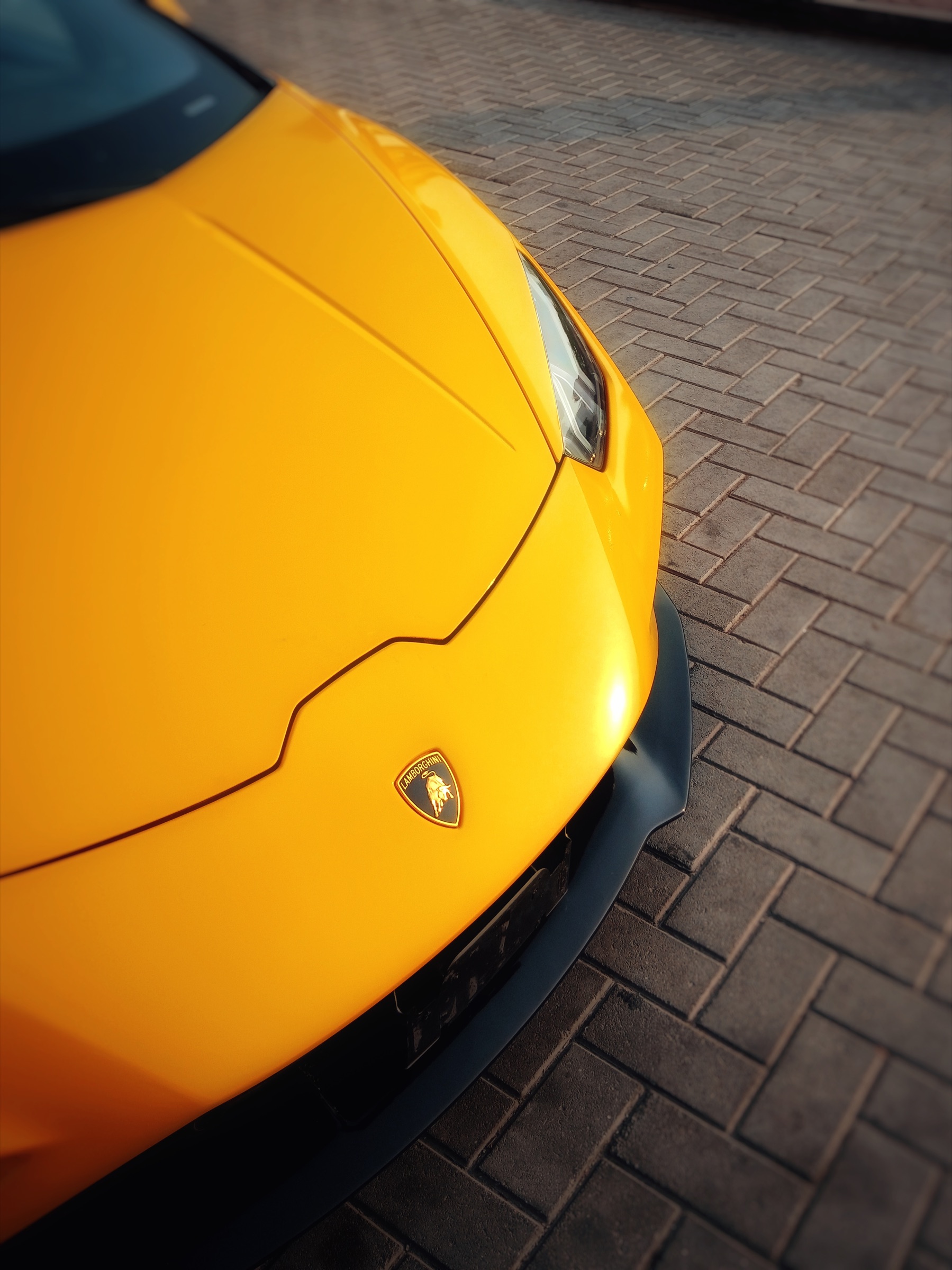 Macro study of a yellow Lamborghini's hood and badge